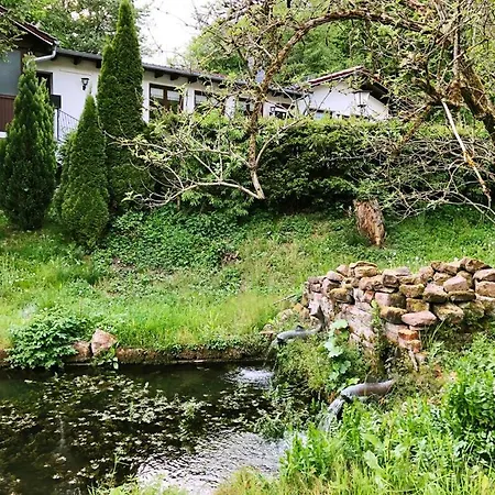 Tiny 3 Am Rimbach In * Steinau an der Straße
